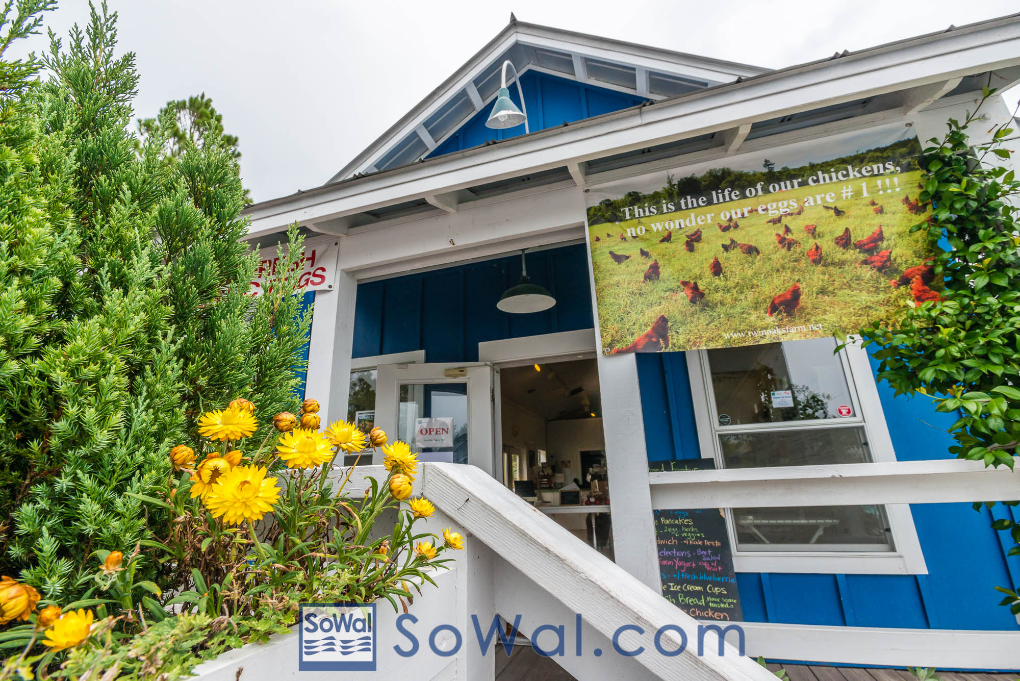 150702-twinoaks-402-sowal-2000.jpg