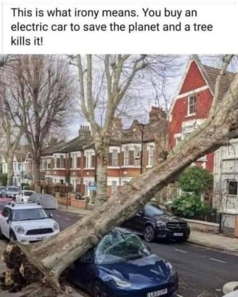 1655421896198.jpeg