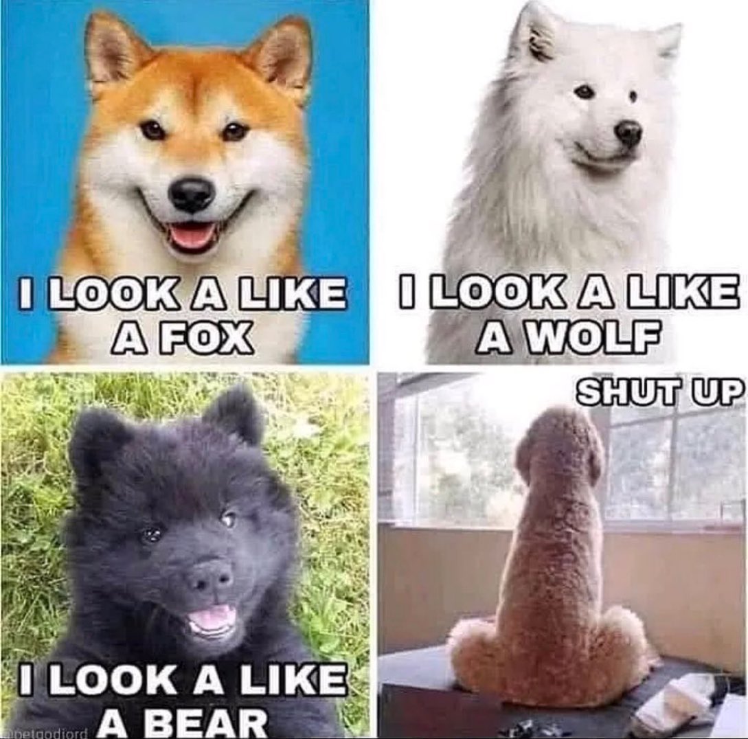 1662159533973.jpeg