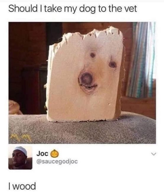 1698703524349.jpeg