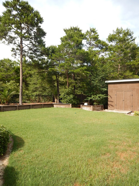 back yard.JPG