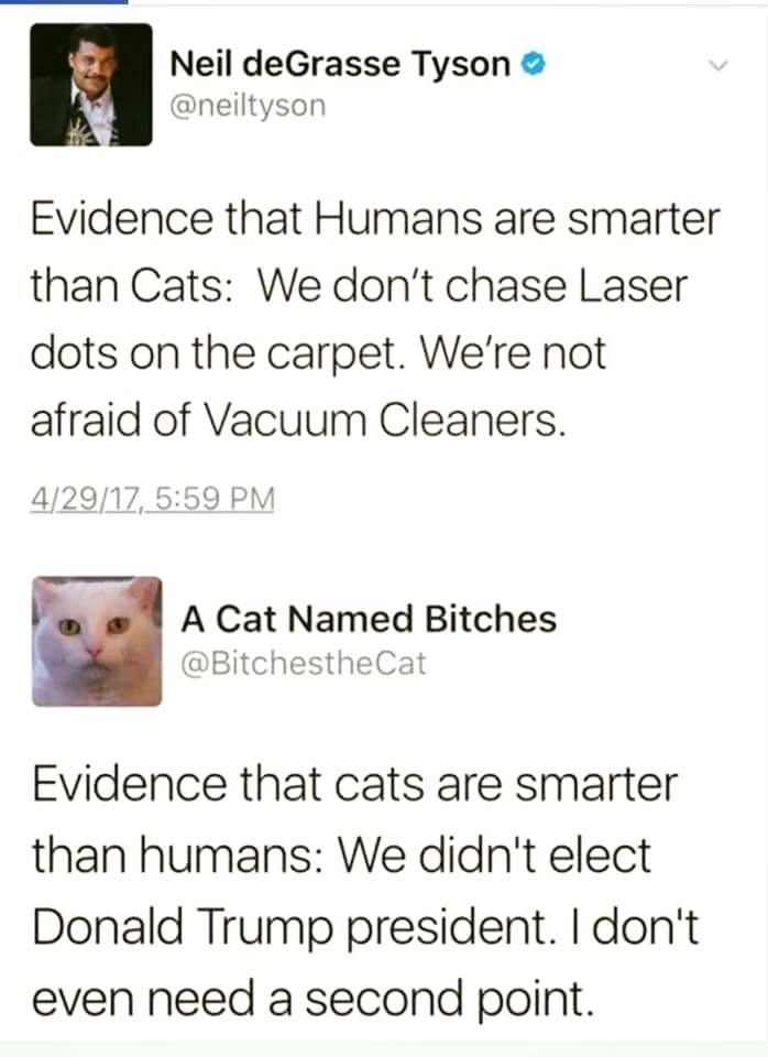 Cats Vs. Humans.jpg