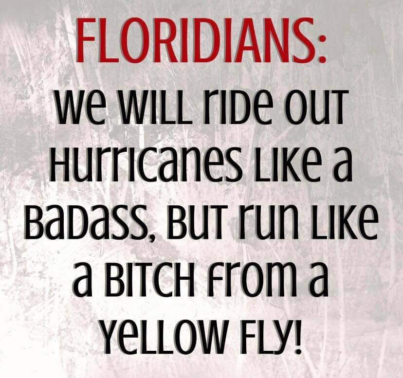 FB_IMG_1654092706239.jpg