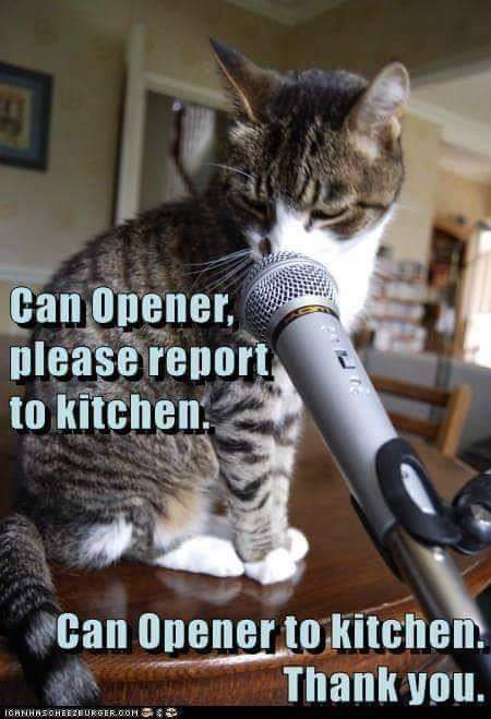 FB_IMG_1724631122424.jpg