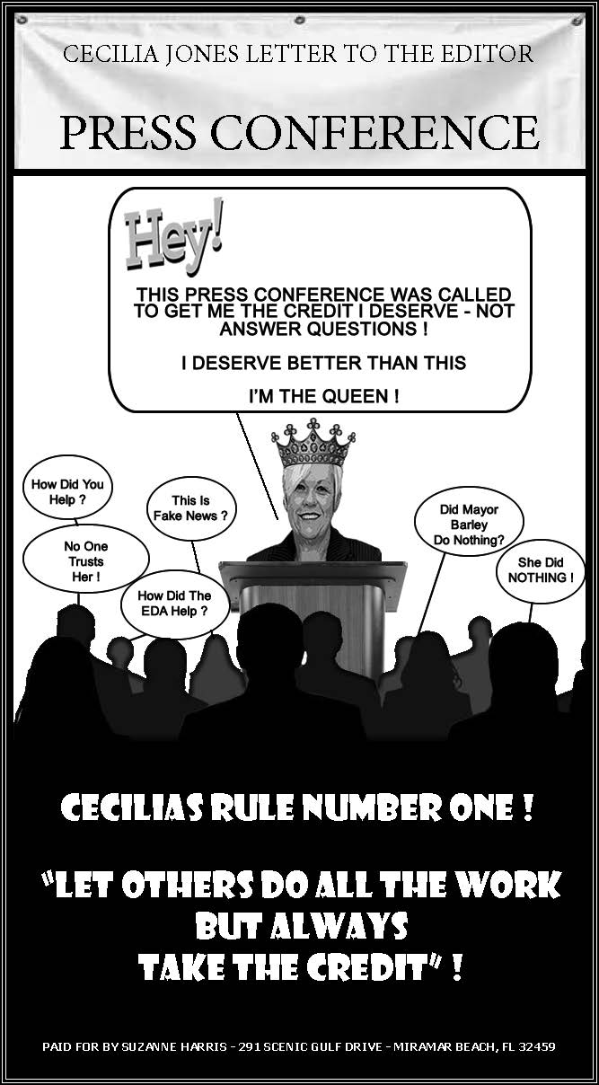 Final Version Of Suzanne's Ad.jpg