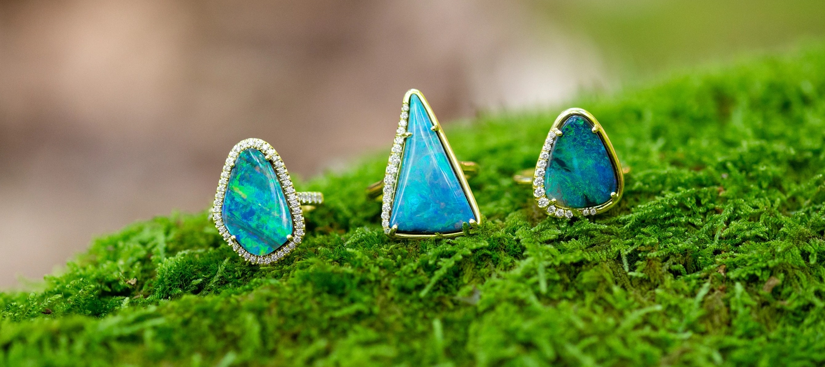 Lauren K trunk show2.jpg