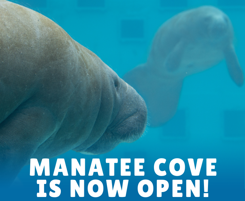 manateecove.png
