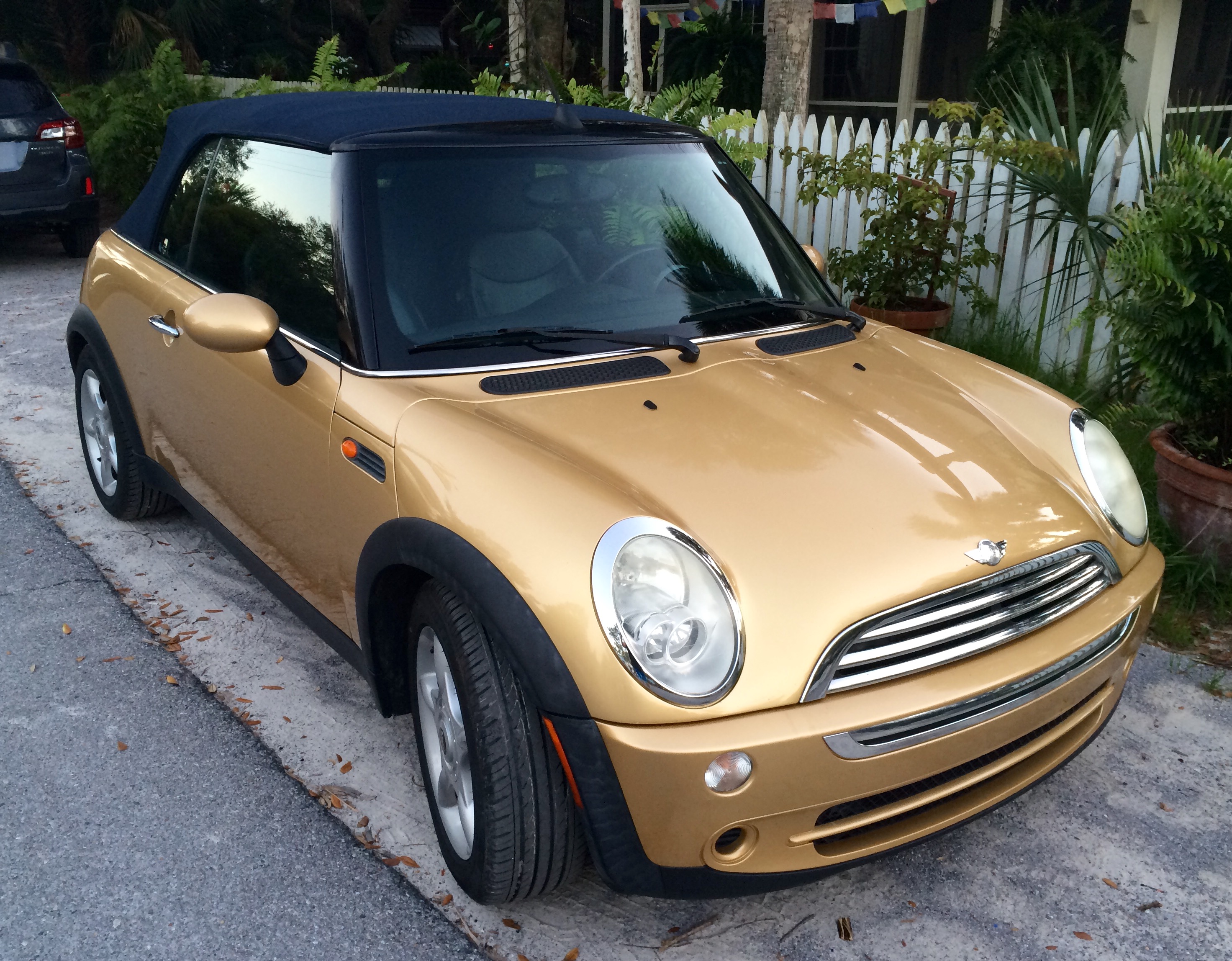 Mini 2.jpg