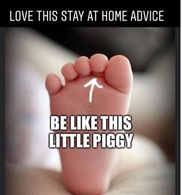 Piggy.JPG