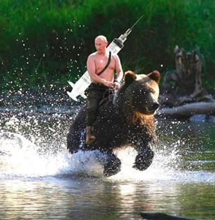 Putin on Bear Back.jpg