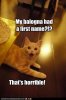 funny-pictures-my-balogna-had-a-first-name.jpg