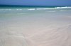 DSC_3941.jpg