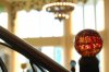 detail_of_rare_bulb_on_handrails.jpg