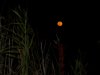 n1493108291_30231799_3567.jpg