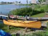 Canoe.jpg