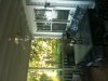 Screened in porch at bay home.jpg