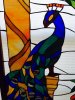 Peacock2.jpg