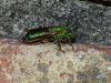 20131025_135052.jpg