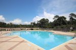 556LoblolllyPool23.jpg