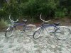 Bikes!.jpg