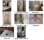 50 Sweet Bay Photo Montage 3 of 3.jpg