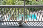 IMG_0784.jpg