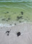 Beach Debris.jpg