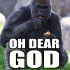 3728-oh-dear-god.jpg