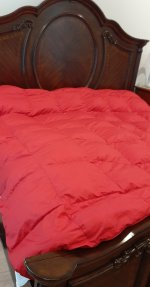 Full Bed One.jpg