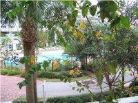 View from Private Balcony.jpg