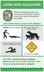 living-with-alligators-infographic_43164520905_o.jpg