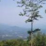 Mountaintopgirl