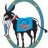 Walton Democrats